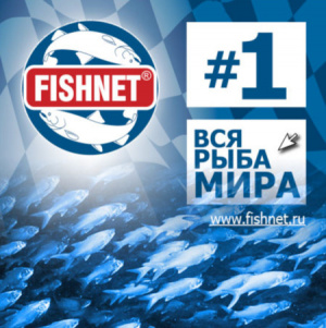MEDIA PARTNER
